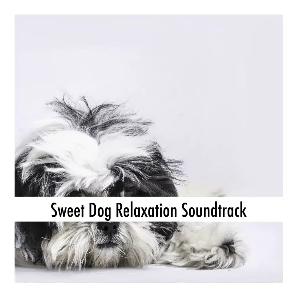 Sweet Dog Relaxation Soundtrack