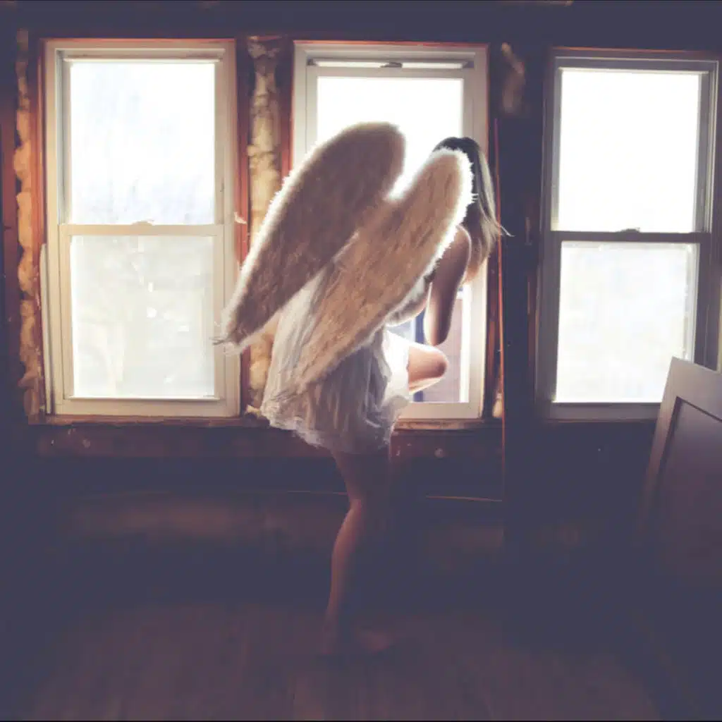 Learning To Fly