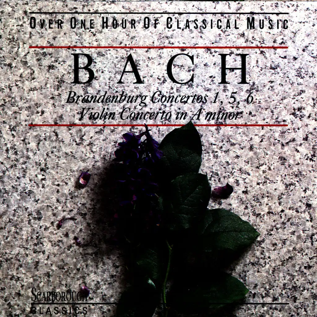 Bach: Brandenburg Concertos 1,5,6