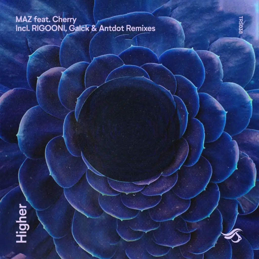 Higher (RIGOONI Remix)