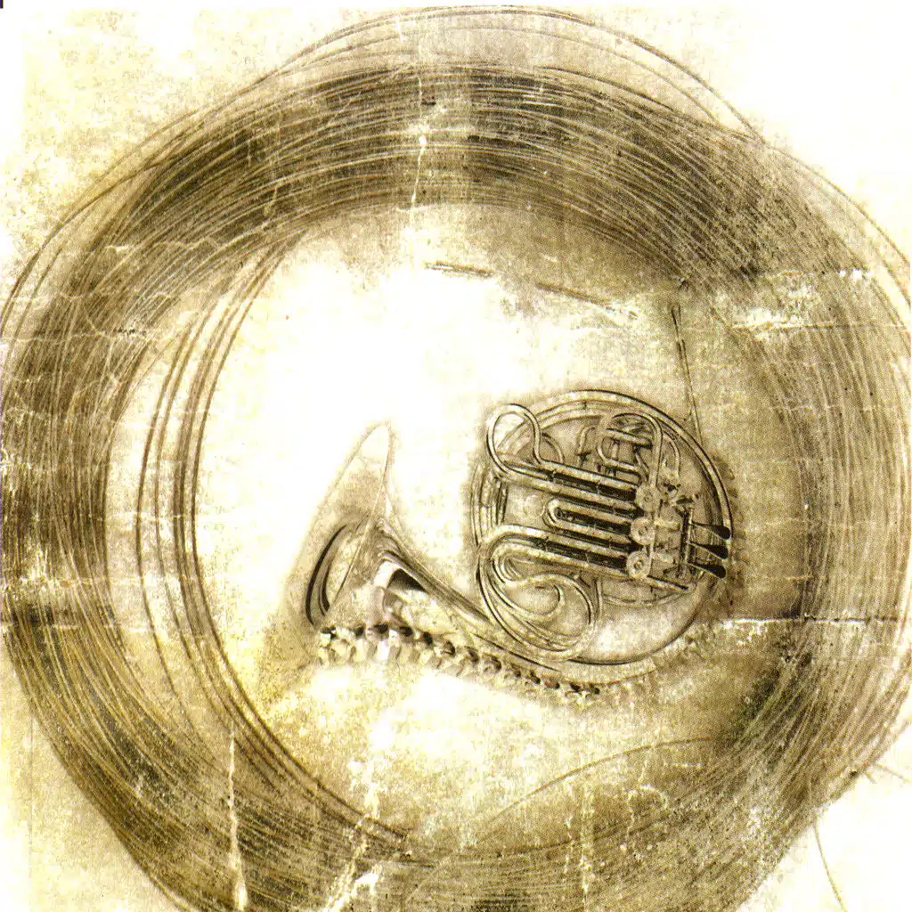 Empathic Communicator: Part II: Bee Bee (Concious Incompetence)