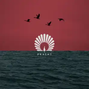 Packard (Nora En Pure Extended Remix)