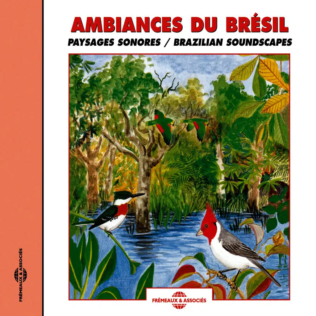 Ambiances Du Brésil