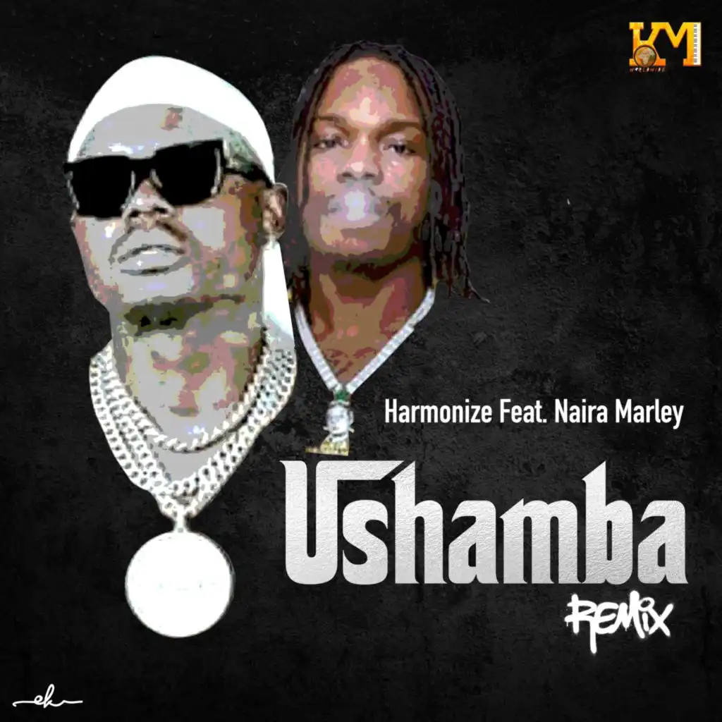 Ushamba (Remix) [feat. Naira Marley]