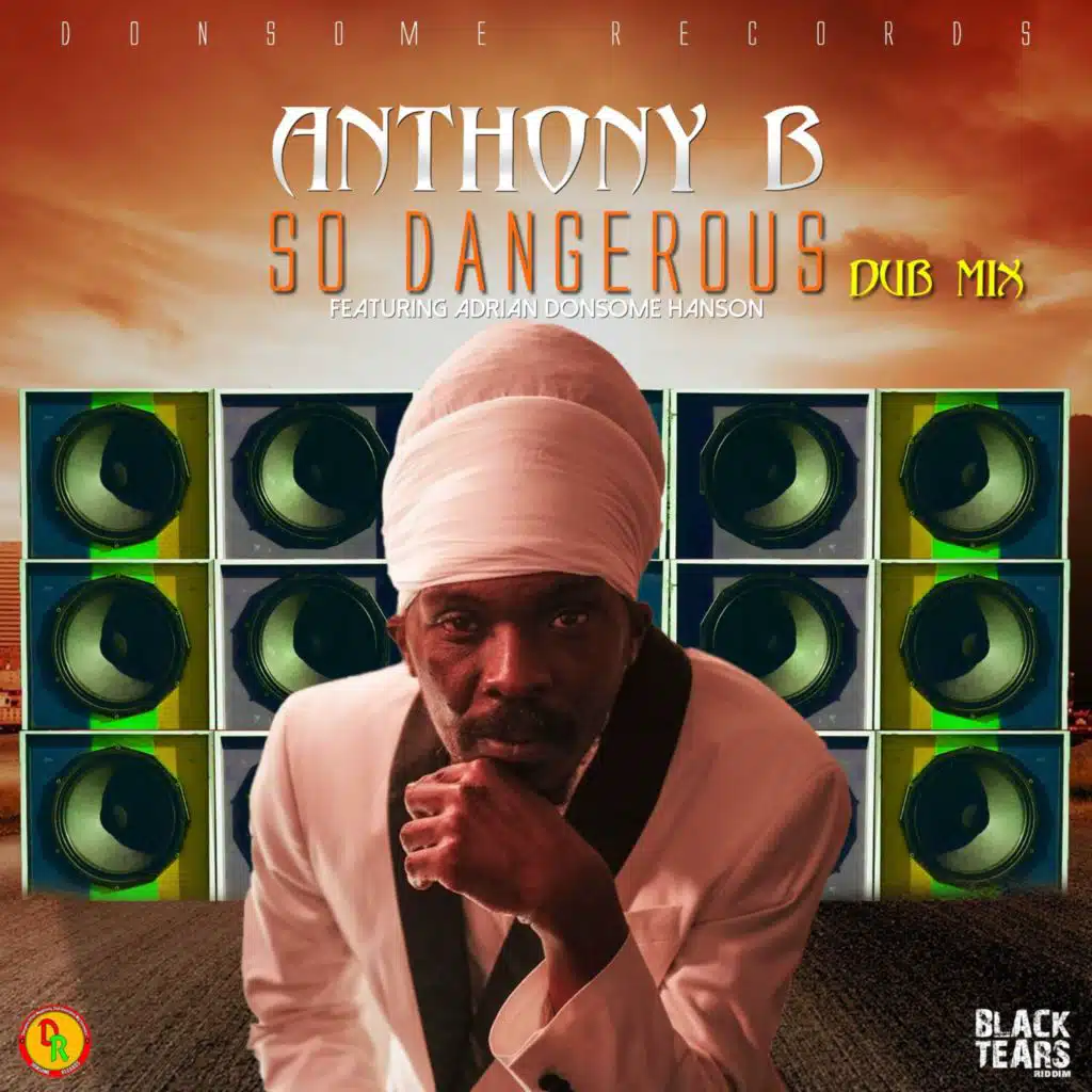 So Dangerous (Dub Mix)