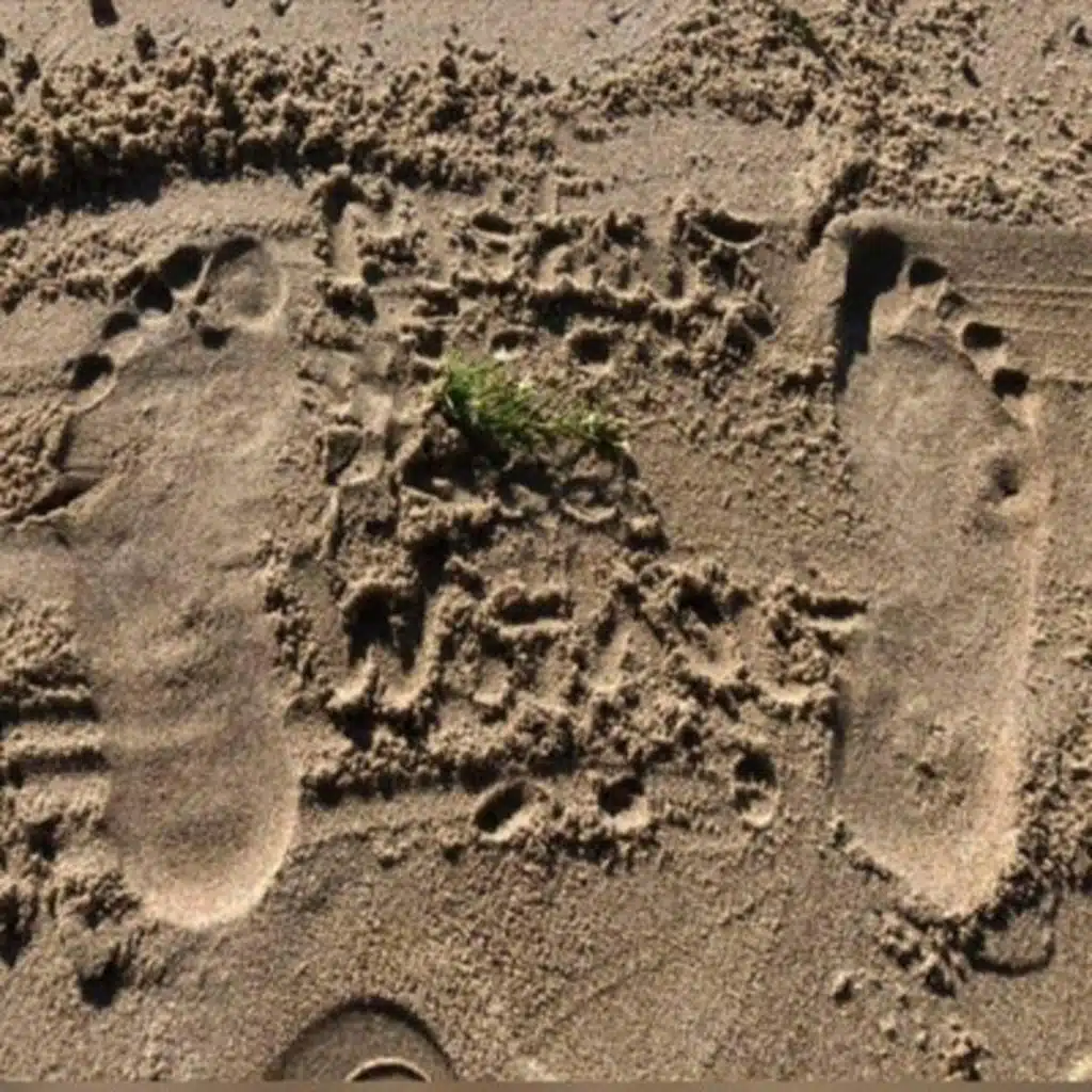 Mr. West Appreciating