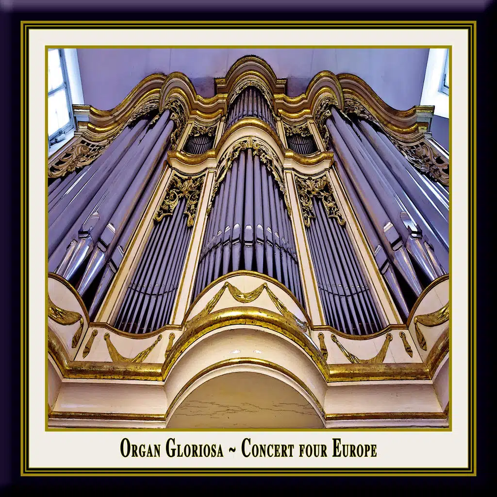 Rheinberger: Organ Sonata No. 4 in A Minor Op. 98 - (3) Fuga cromatica