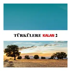 Türkülere Kalan, Vol. 2