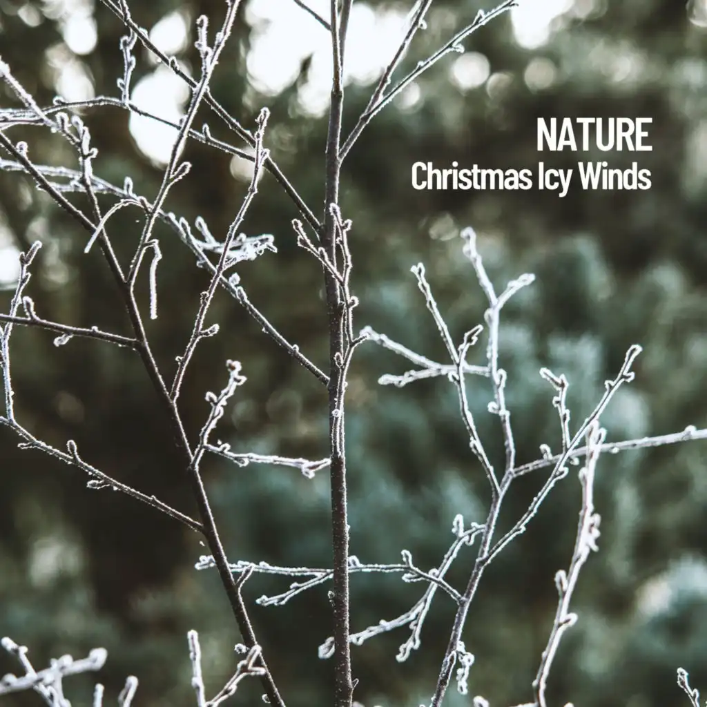 Nature: Christmas Icy Winds