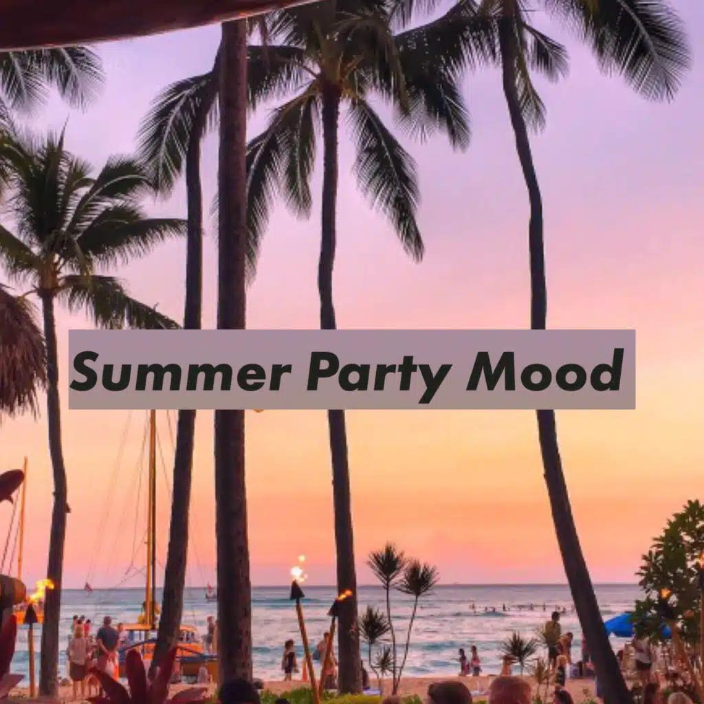 Summer Party Mood - Compilation of Warming Party Hits for Cold Winter Days