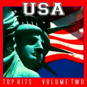 USA Top Hits Vol 2