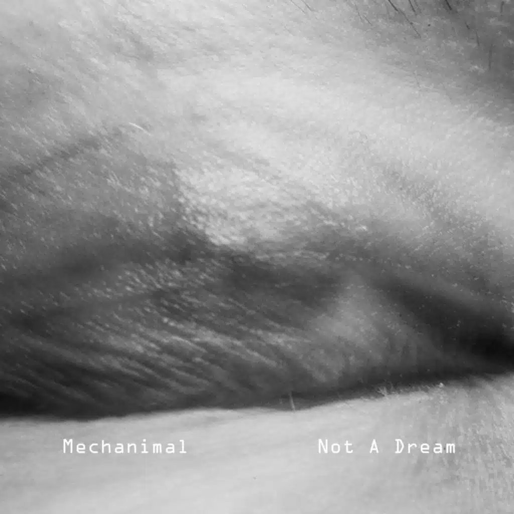Not A Dream