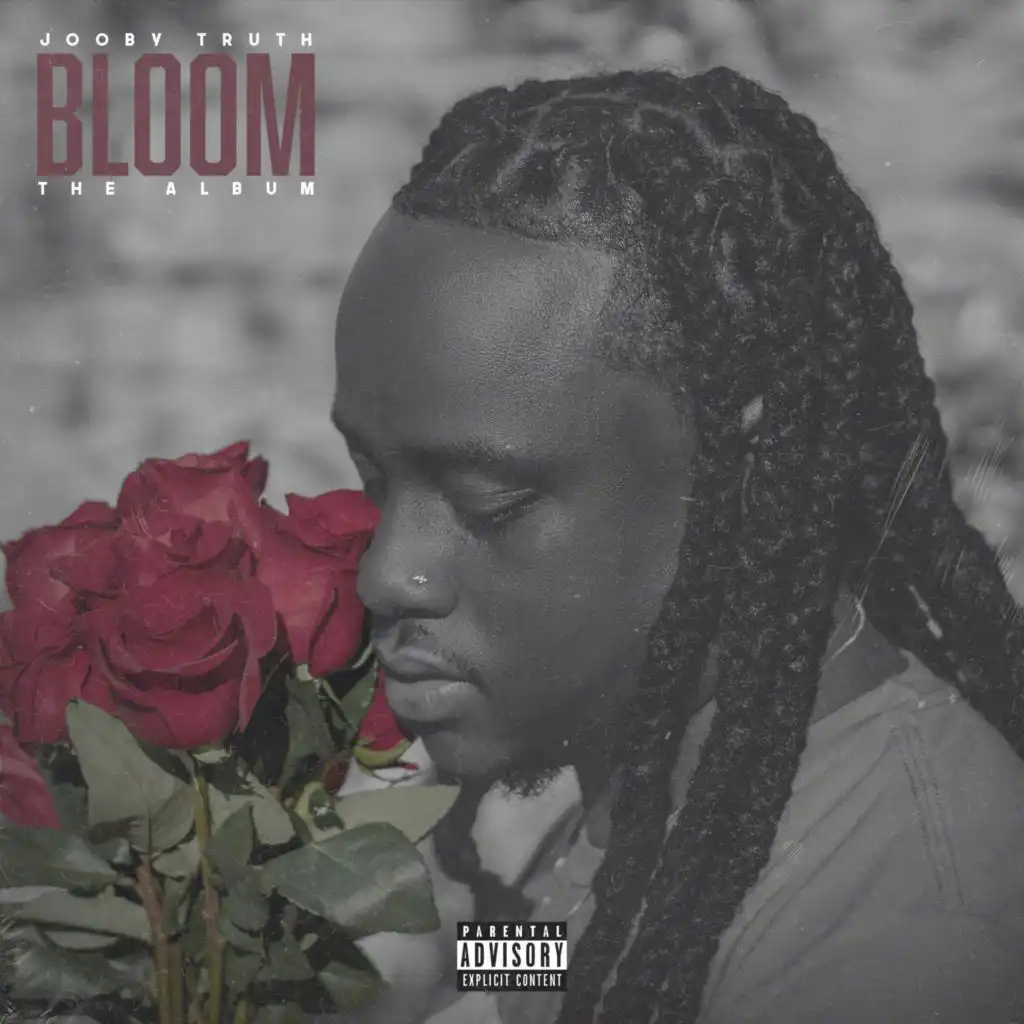 Bloom: The Album
