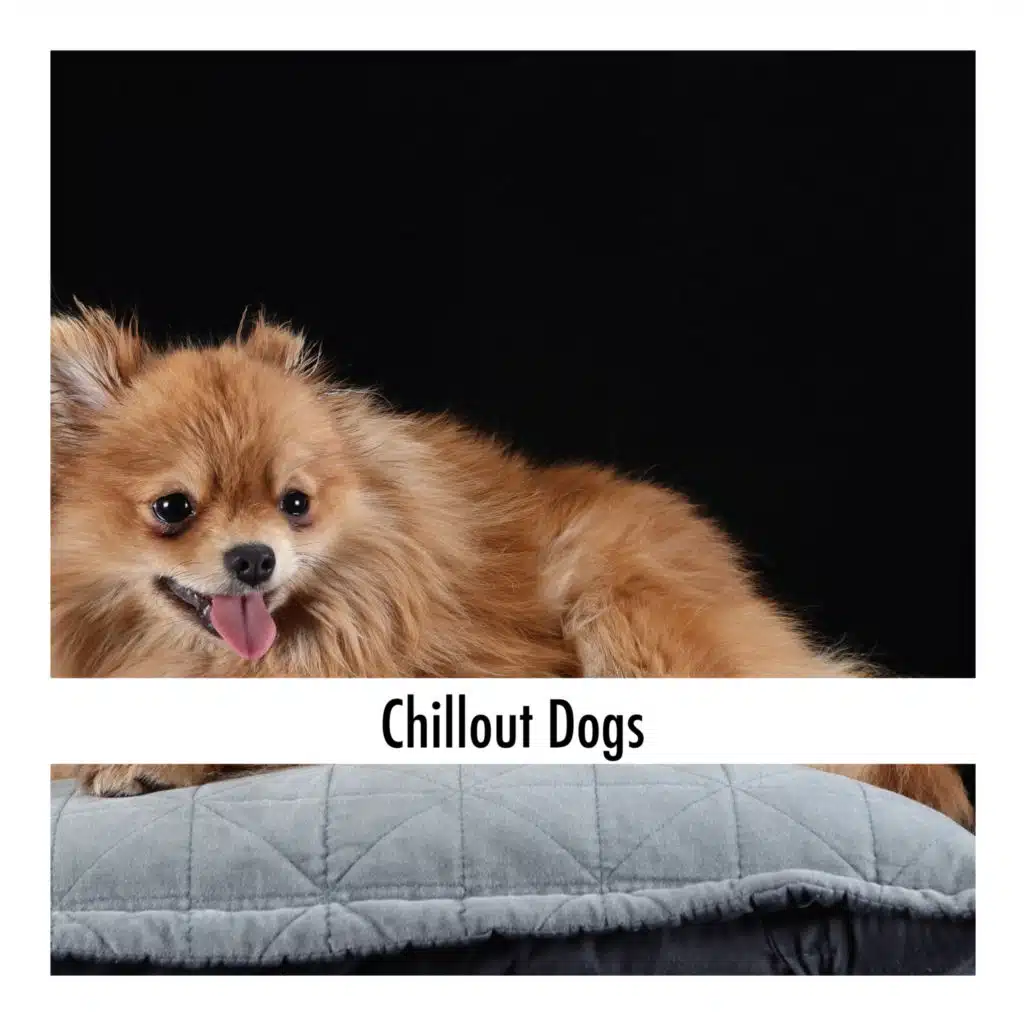 Chillout Dogs