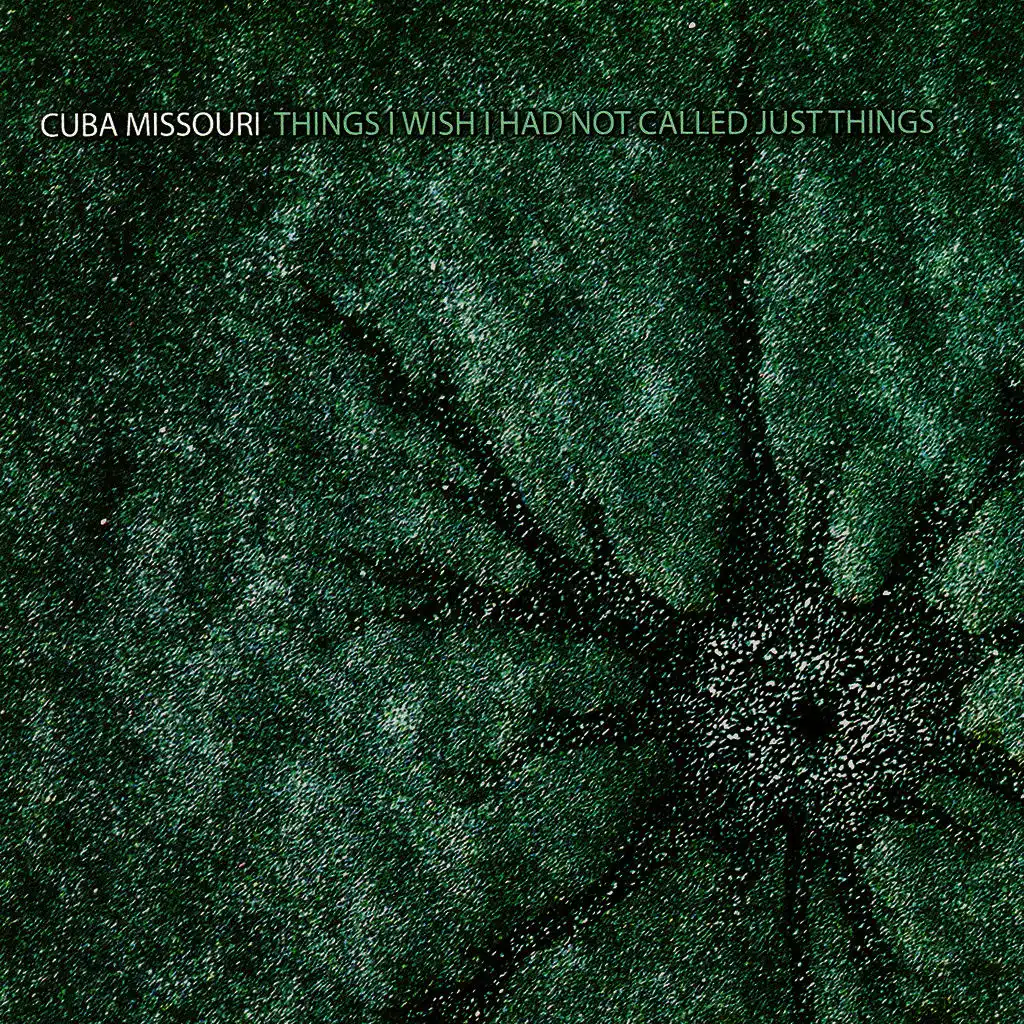 Things I Wish I Had Not Called Just Things