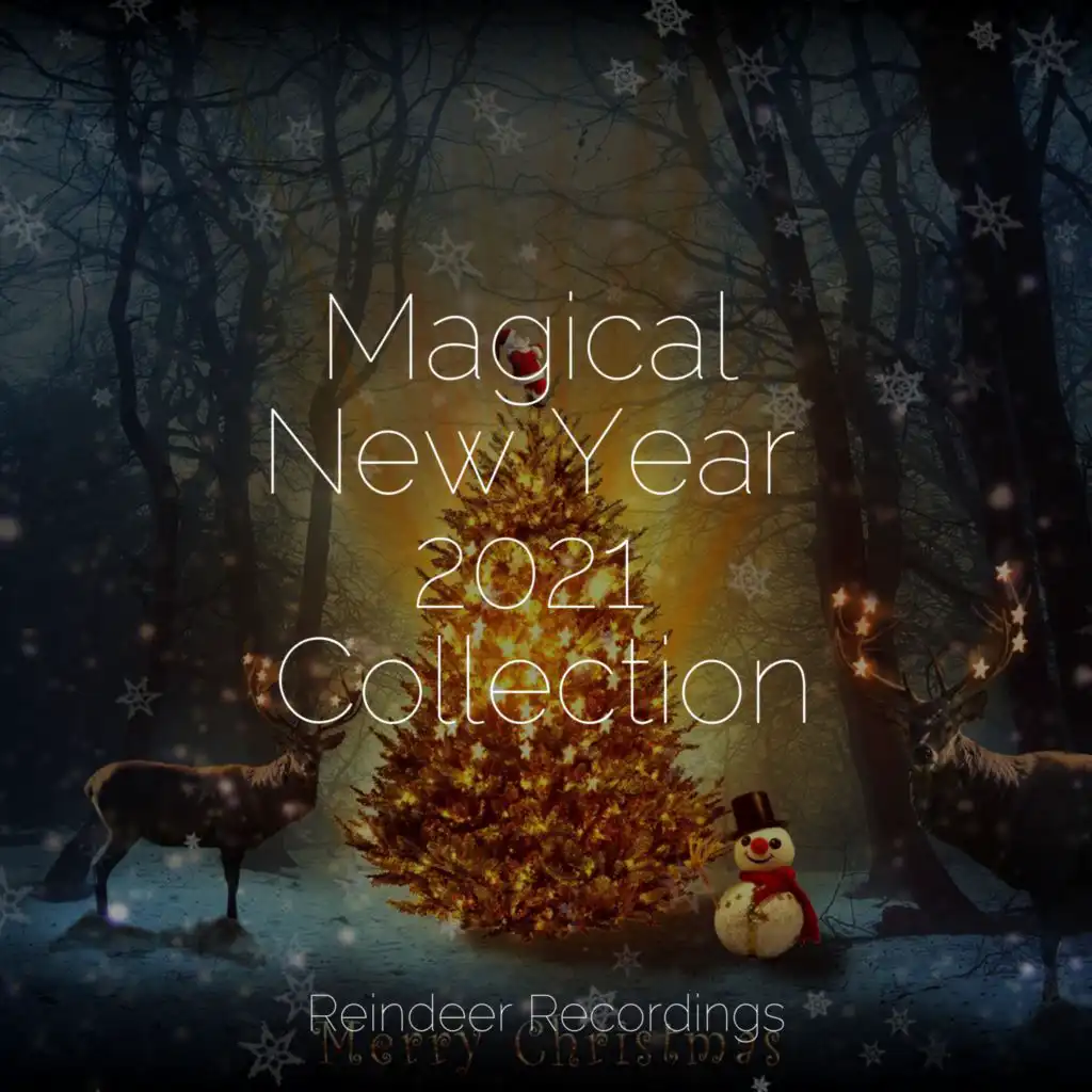 Magical New Year 2021 Collection