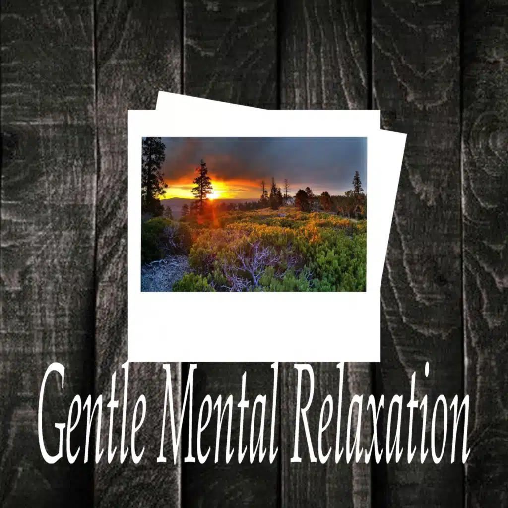 Gentle Mental Relaxation