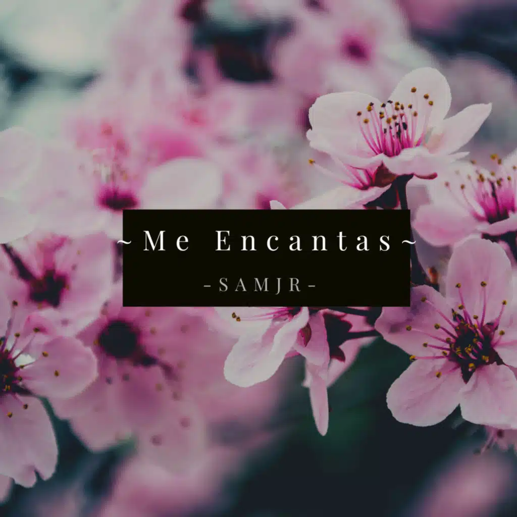 Me Encantas