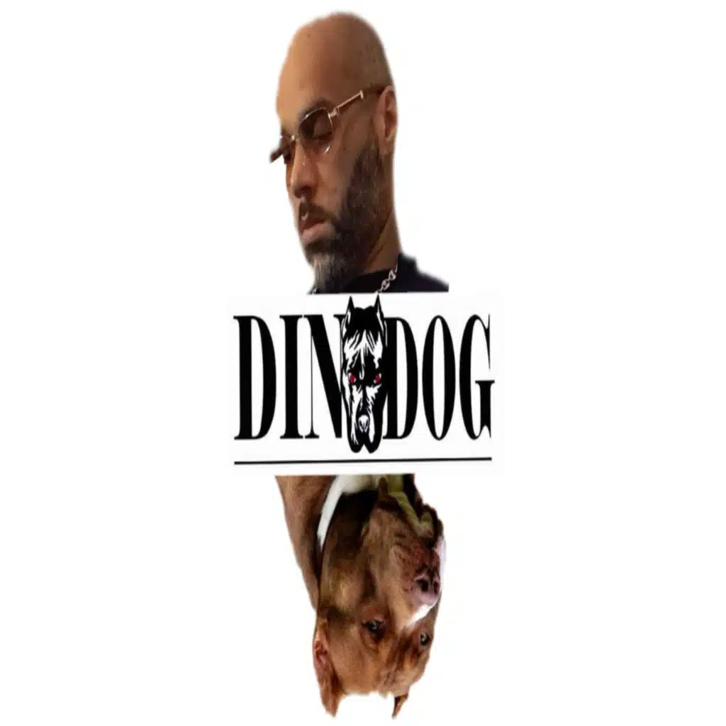 Je ne sais pas (Remix)