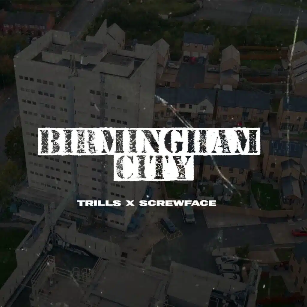 Birmingham city