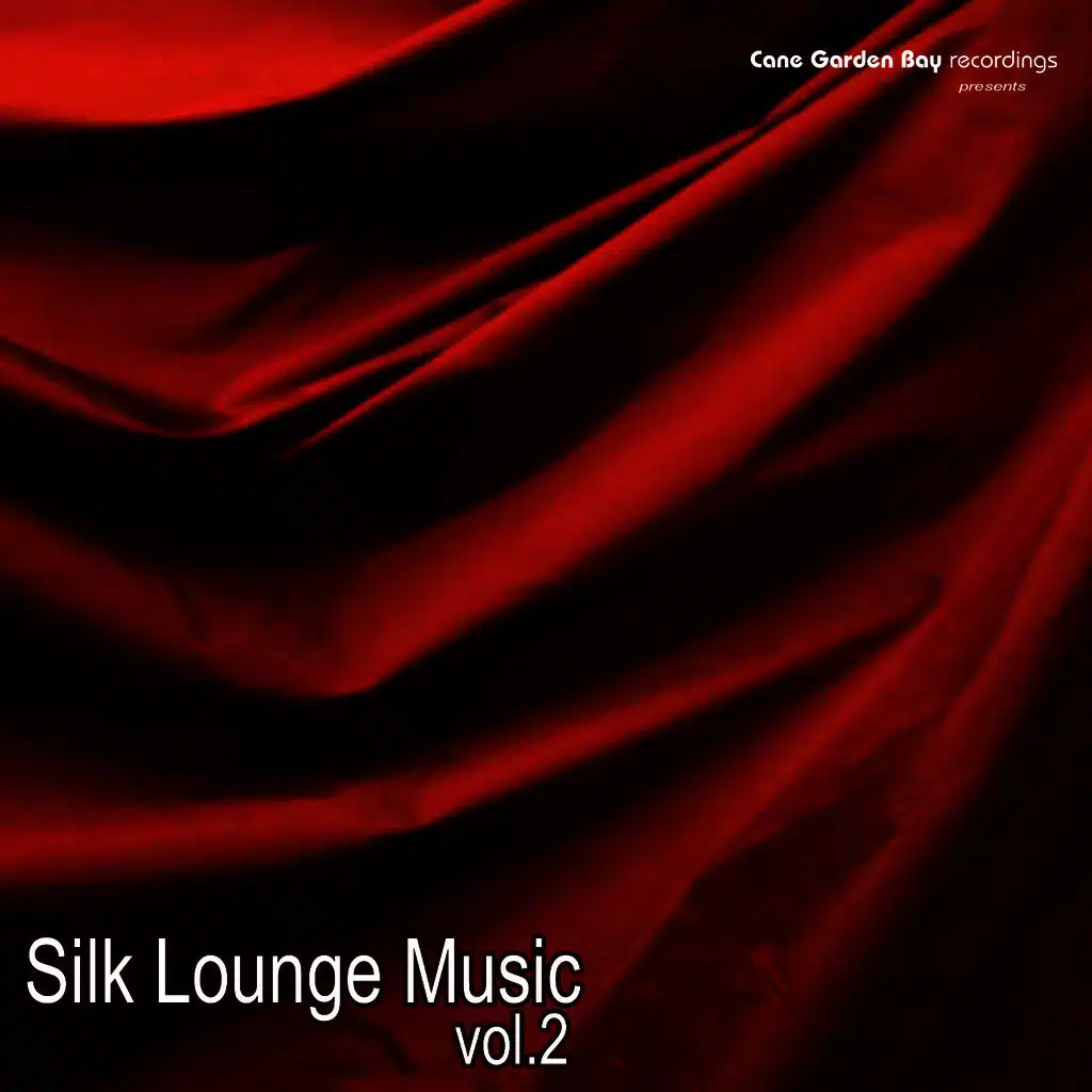 Silk Lounge Music Vol.2