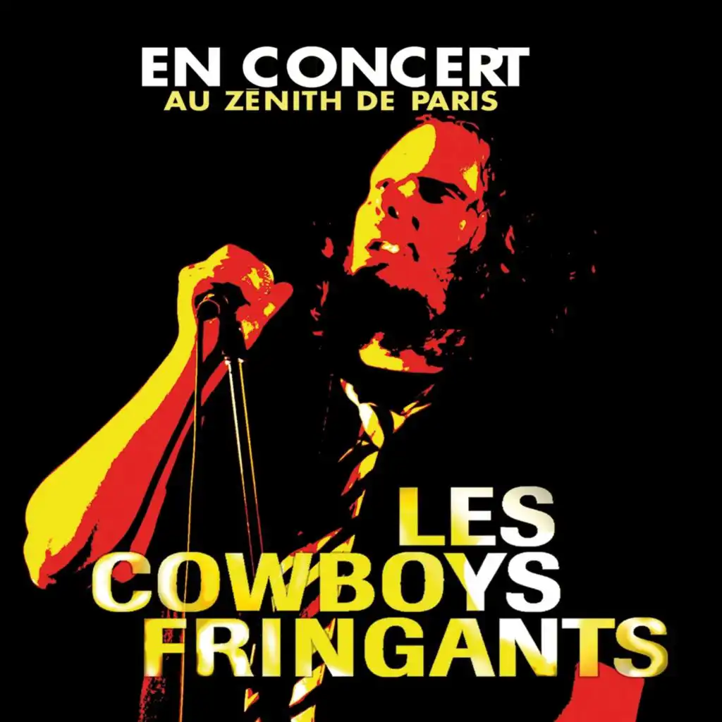 En concert au Zénith de Paris (Live)