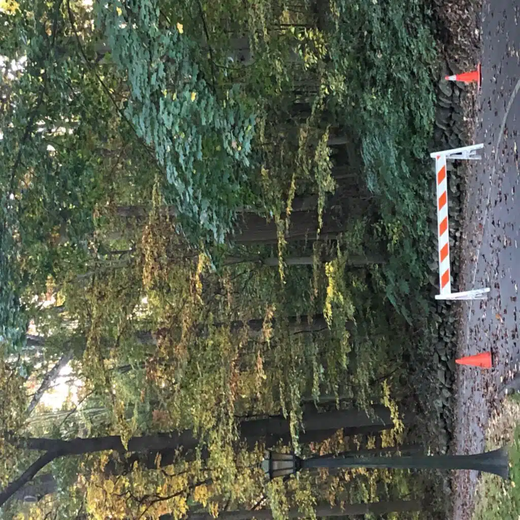 I Didn't Think I Would Get This Far