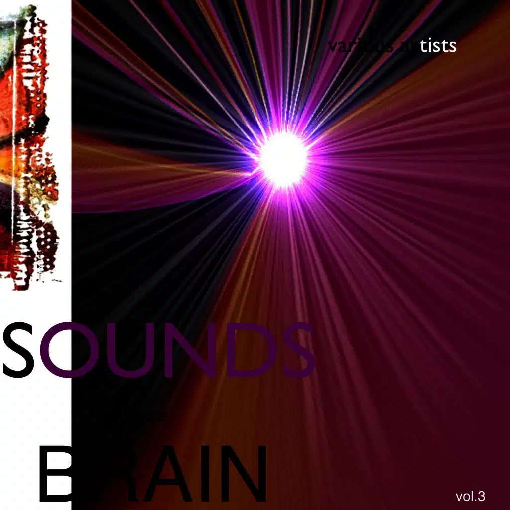 Sounds from the Brain Vol.3    