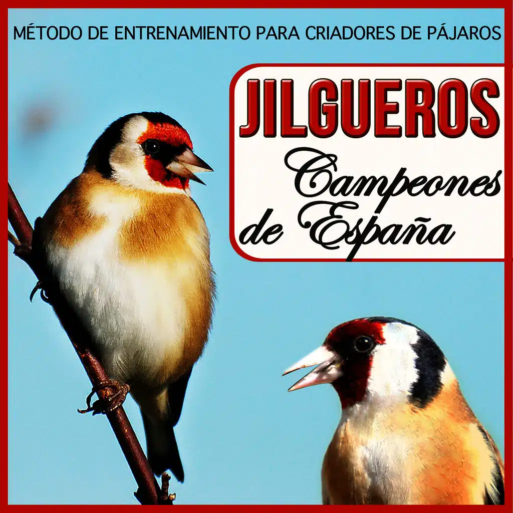 Jilgueros Campeones de España. Metodo de Entrenamiento Para Criadores del Jilguero