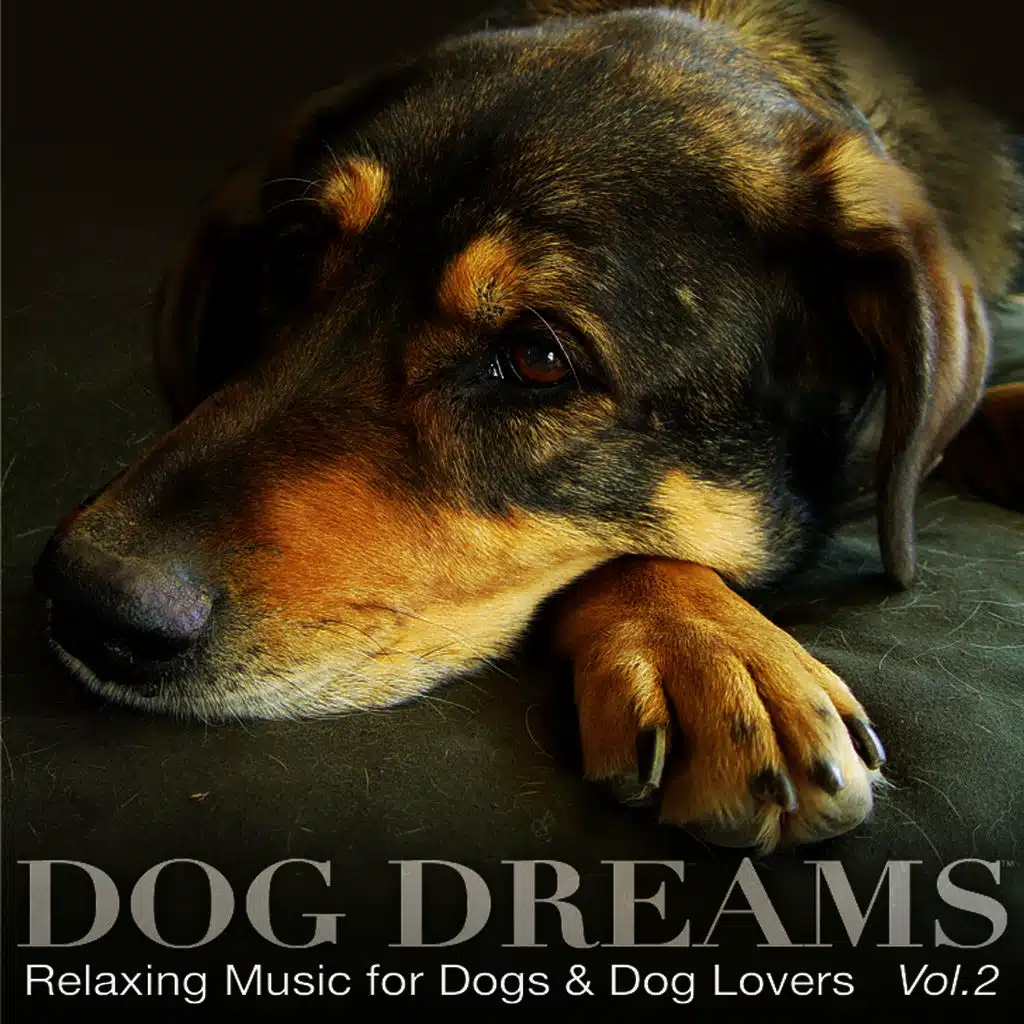 DOG DREAMS - Relaxing Music for Dogs & Dog Lovers Vol.2