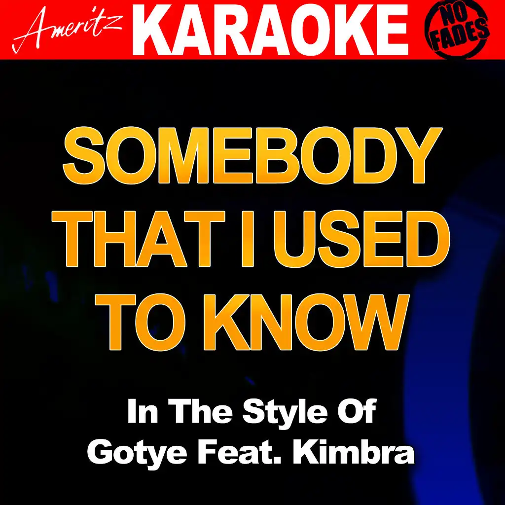 Somebody That I Used To Know (In The Style Of Gotye Feat. Kimbra)