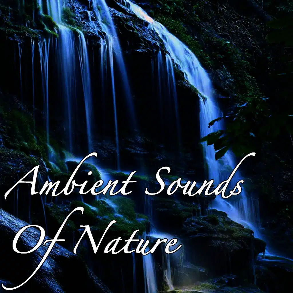 Ambient Sounds Of Nature - Uninhabited