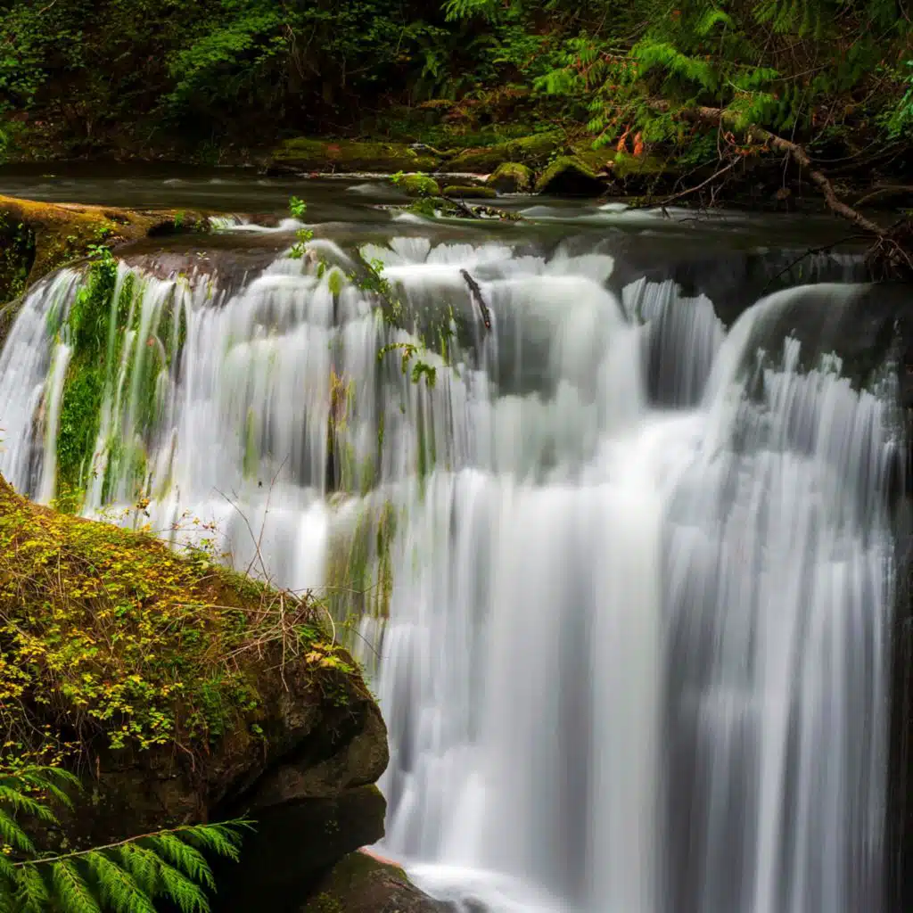 폭포 소리, 자연 소리 예약 & 자연의 소리