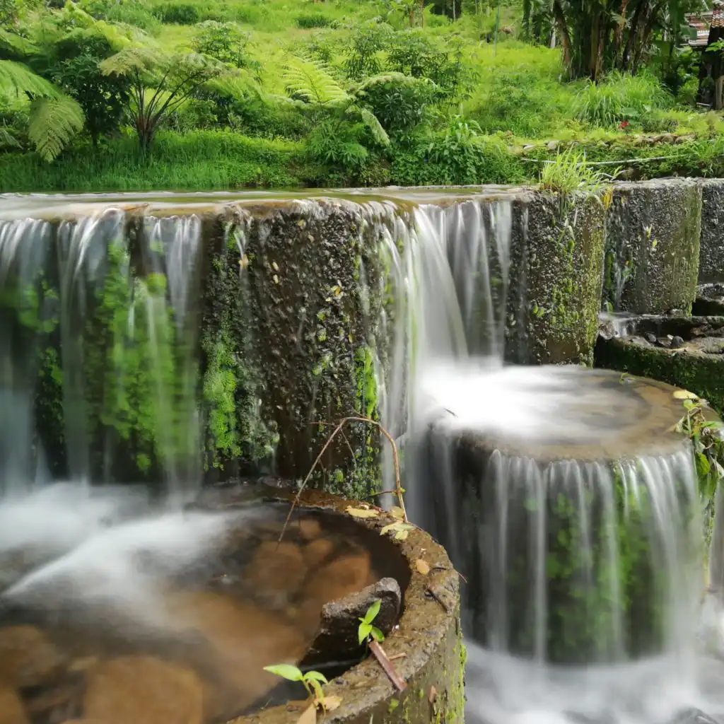 Sons da Cachoeira, Reserva de Sons Naturais & Zona de Sons da Natureza