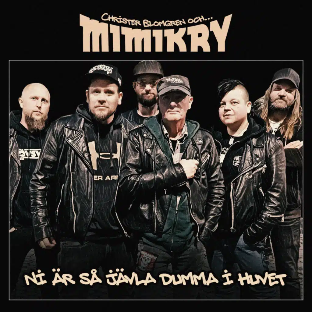 Ni är så jävla dumma i huvet (feat. Christer "Blomman" Blomgren)