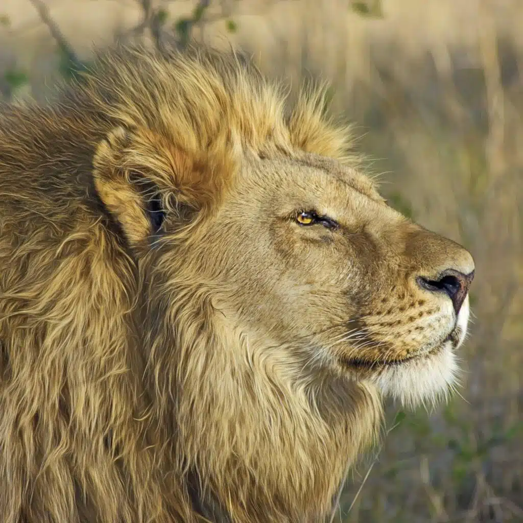 Chill House Part 1, Vol. 14