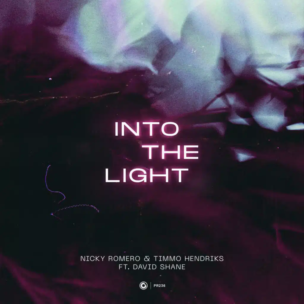 Into The Light (feat. David Shane)