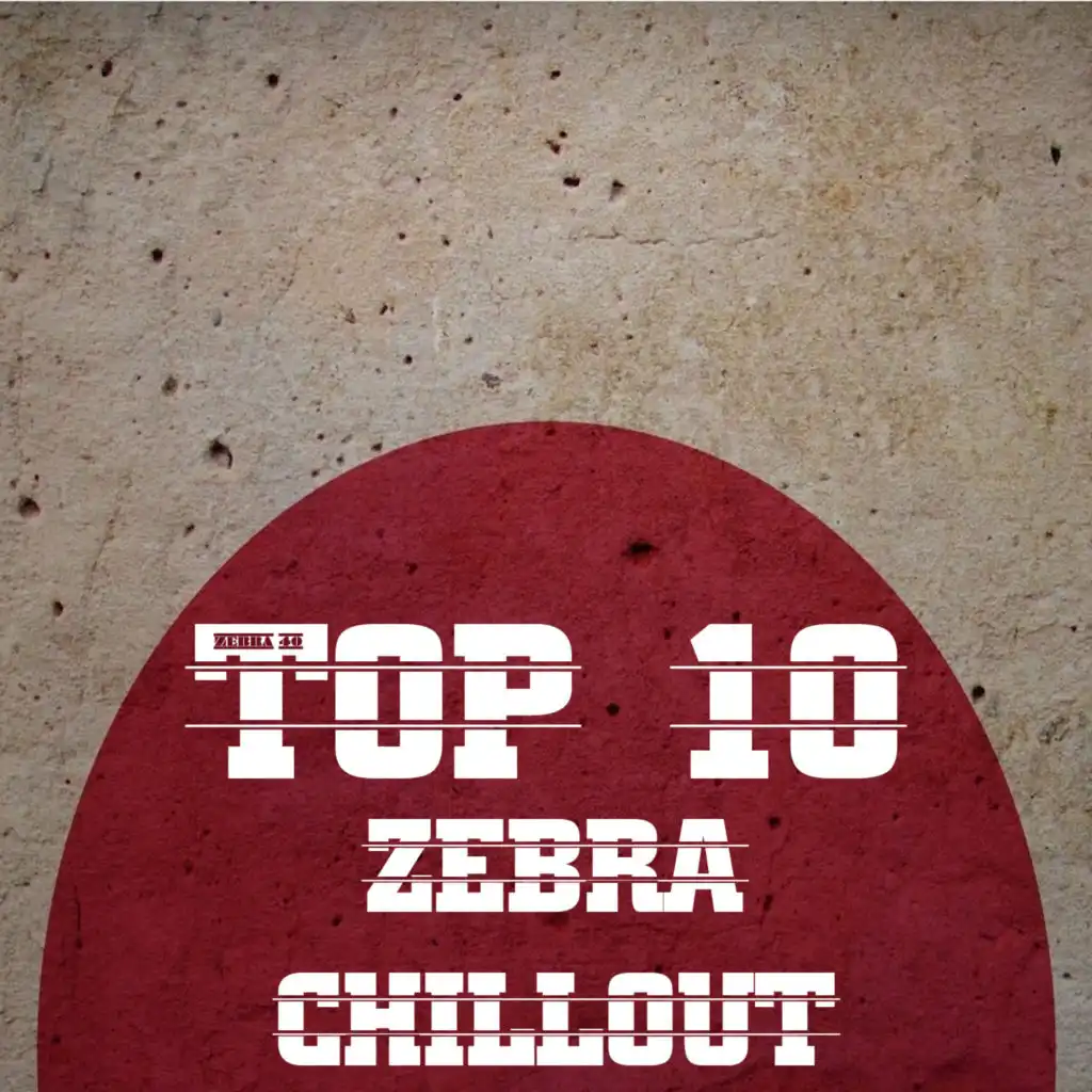 Top 10 Zebra Chillout