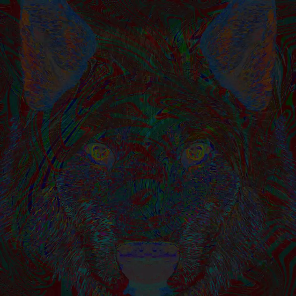 青狗 Wolf