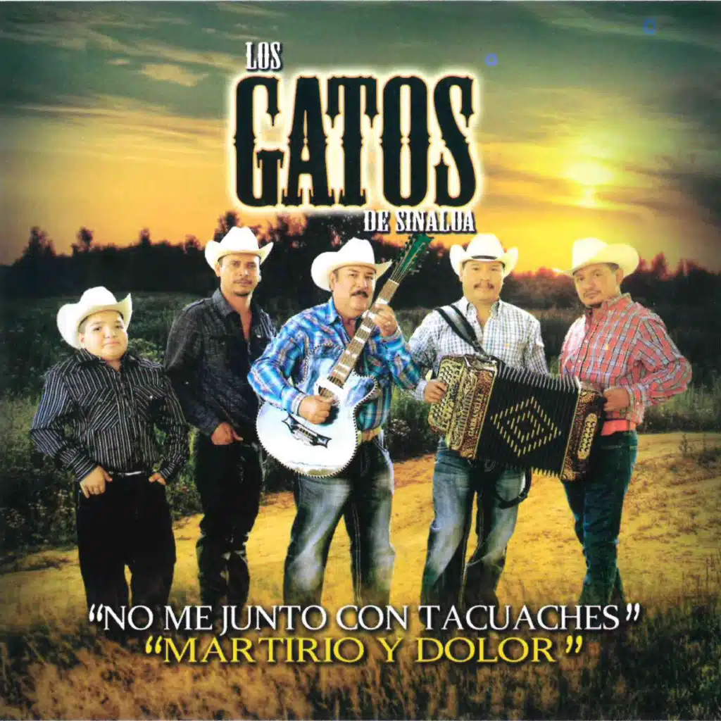 Los Gatos de Sinaloa