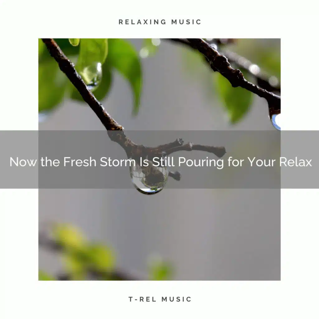 2020 Best: Now the Fresh Storm Is Still Pouring for Your Relax