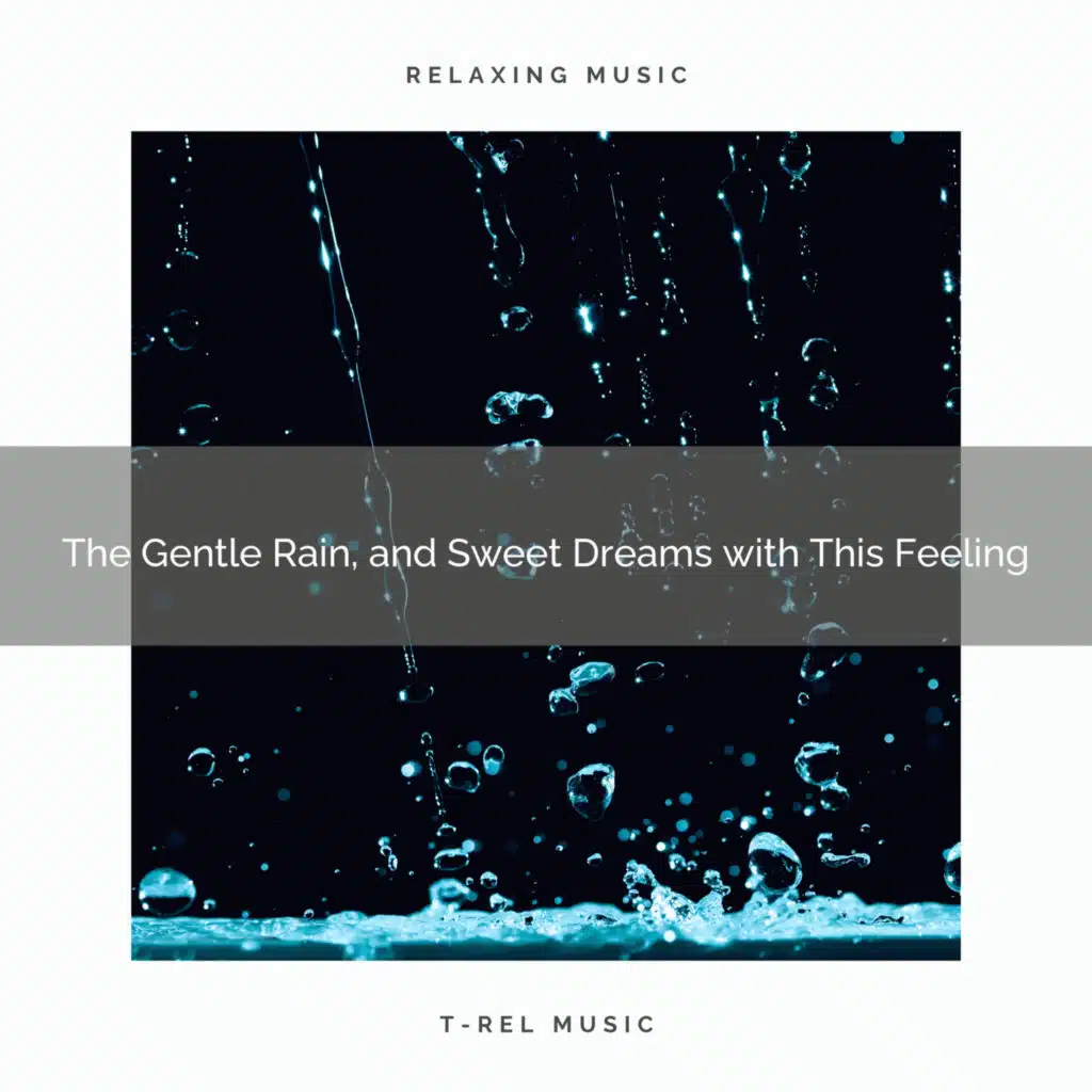 2020 Best: The Gentle Rain, and Sweet Dreams with This Feeling