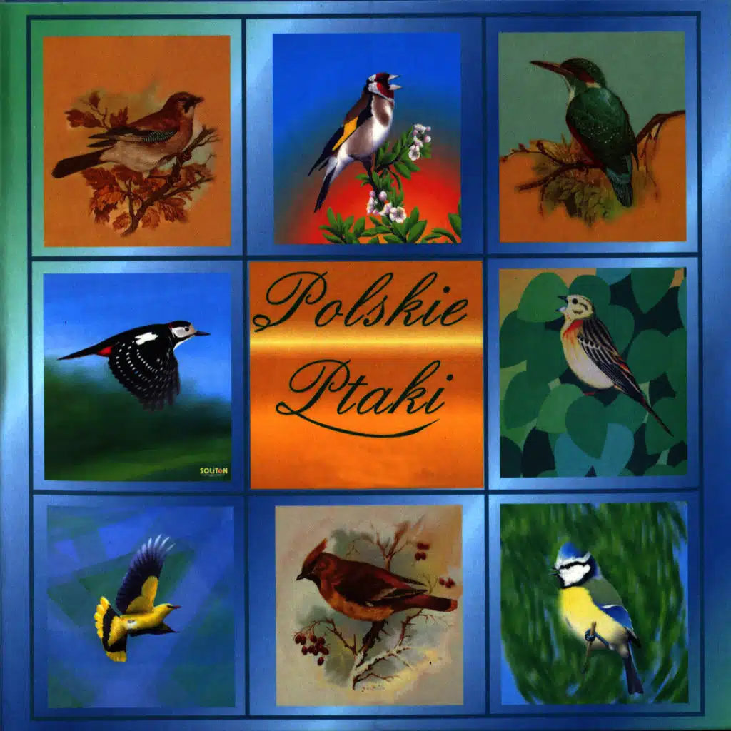 Polish Birds - Polskie Ptaki