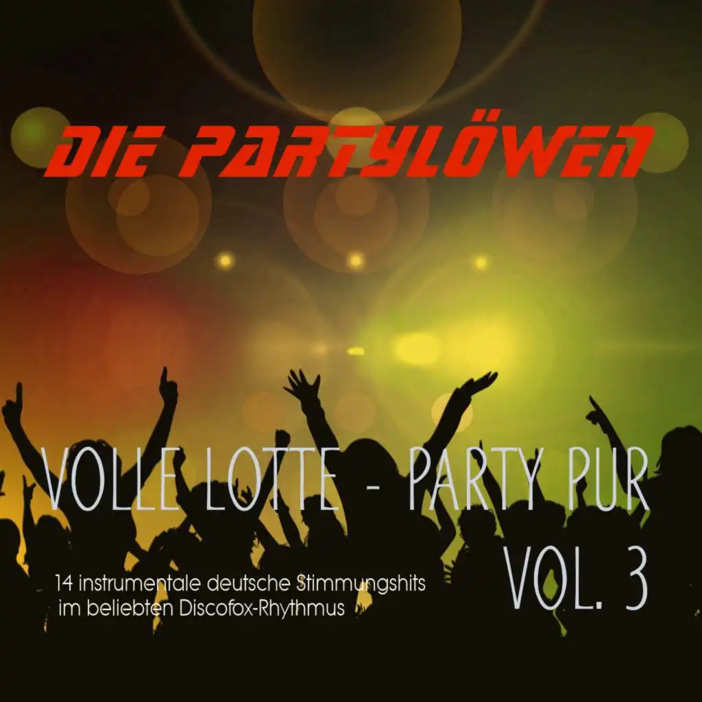 Volle Lotte - Party Pur, Vol. 3