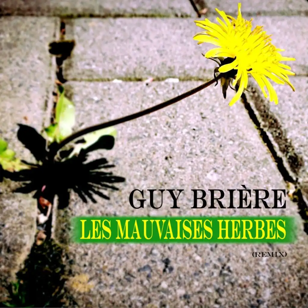 Les mauvaises herbes (Remix)