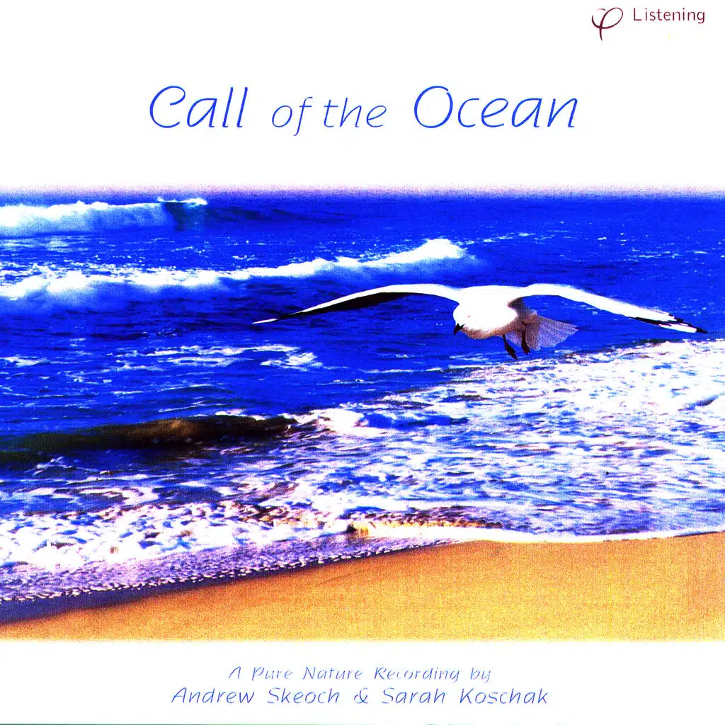 Call of the Ocean