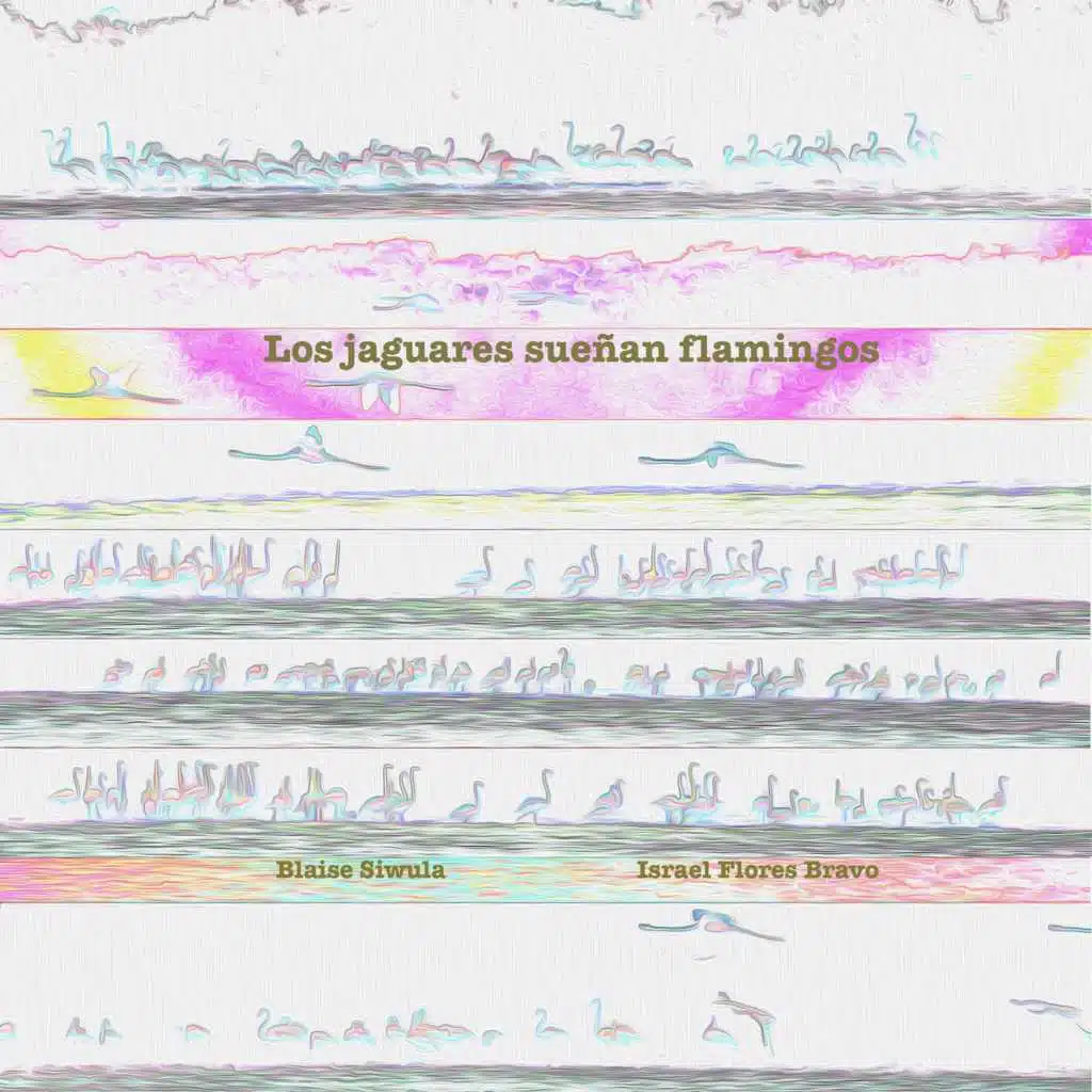 Los Jaguares Sueñan Flamingos (Live)