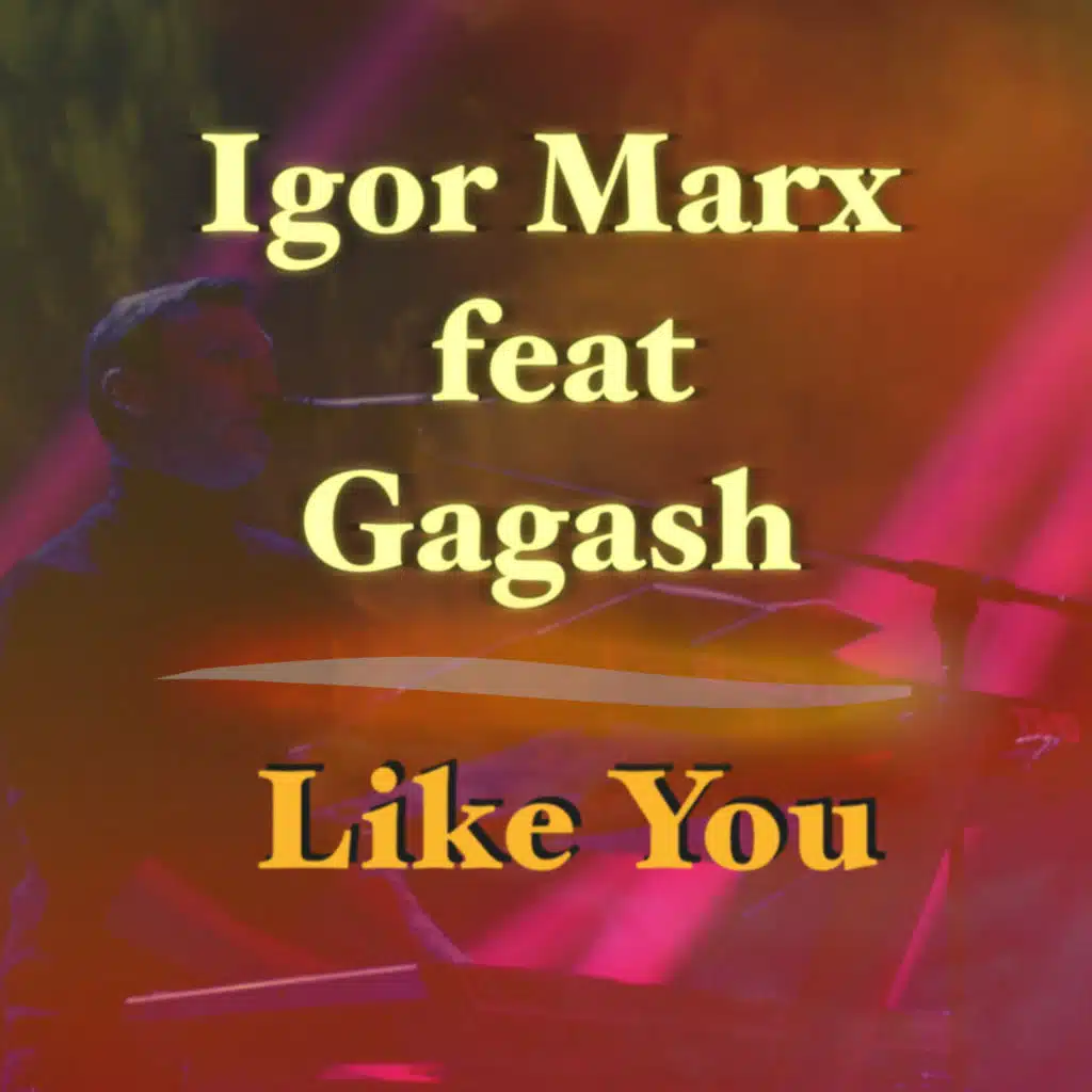 Like You (feat. Gagash)