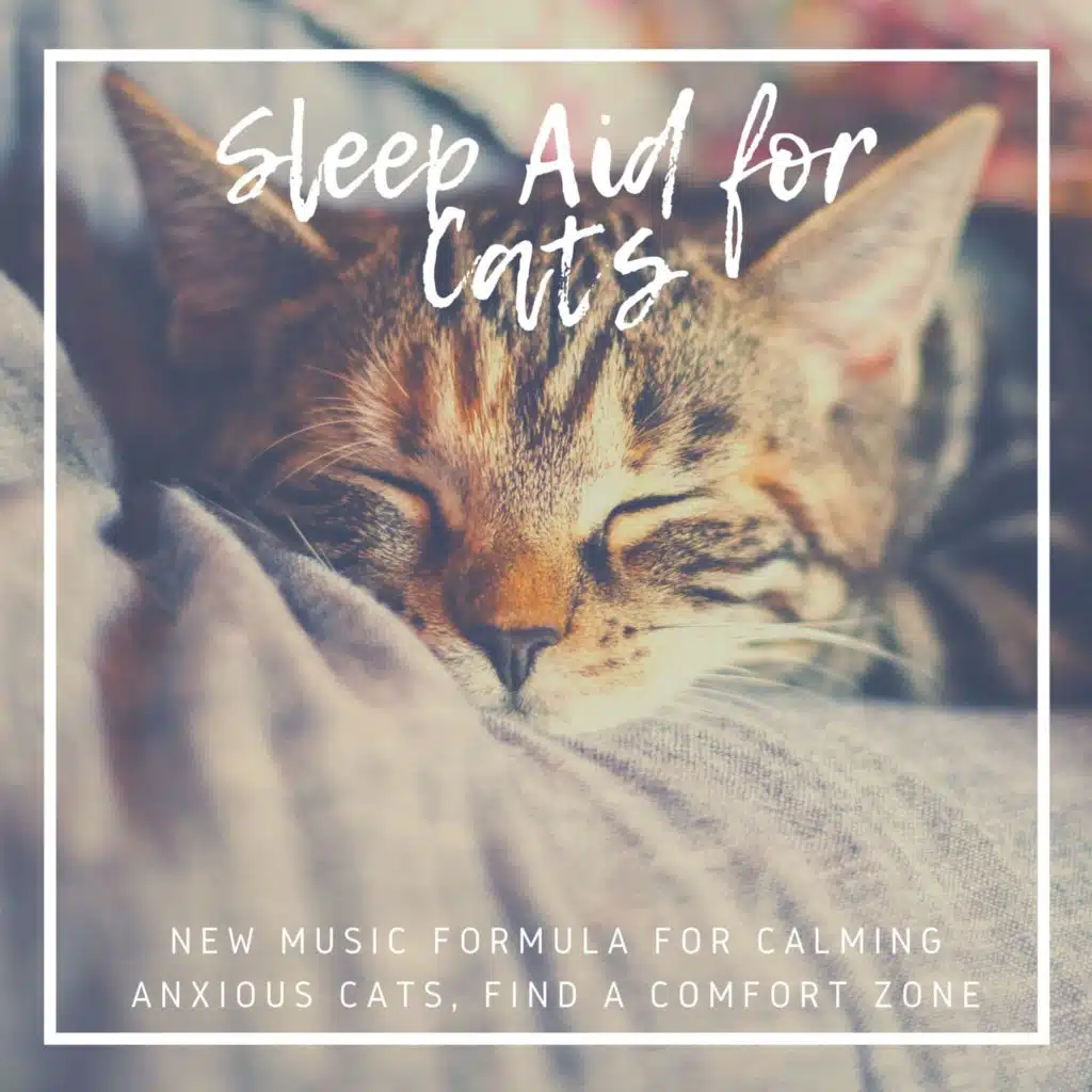 New Music Formula for Calming Anxious Cats