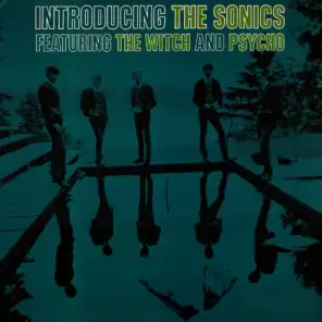 Introducing The Sonics